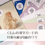 公文の漢字カードの対象年齢が0歳のワケ