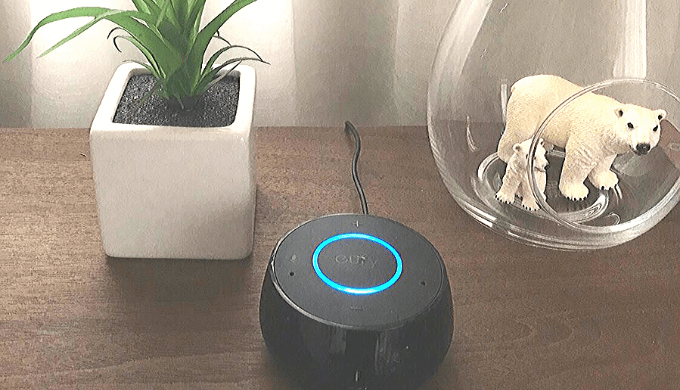 Amazon Echo